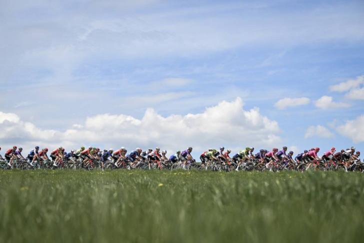 Derrière un parterre de fleurs sauvages et d'herbe, une enfilade de coureurs